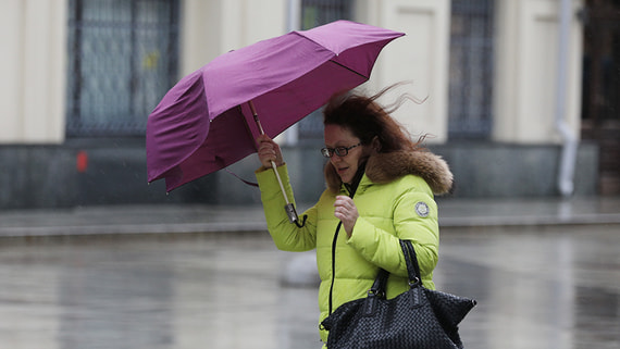 Синоптики предупредили москвичей об ухудшении погоды 27 апреля
