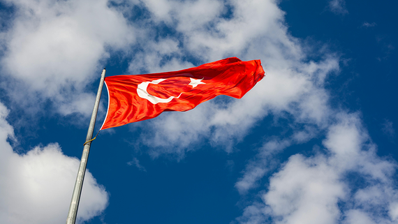 Bloomberg: Турция прекратила торговлю с Израилем