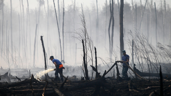 Режим ЧС из-за лесных пожаров объявили в Хабаровском крае и ЕАО