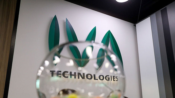 Iva Technologies заявила о планах провести IPO в первой половине июня