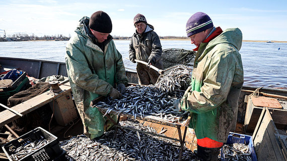 Дмитрий Патрушев сообщил об увеличении числа сданных рыбопромысловых судов