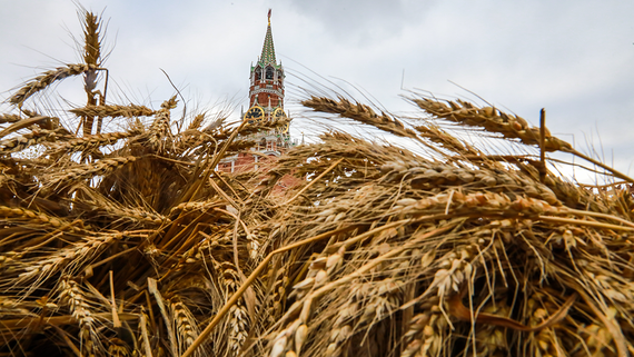 Пошлина на экспорт пшеницы из России с 19 июня снизится на 3,2%