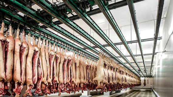 Китай начал антидемпинговое расследование в отношении импорта свинины из ЕС