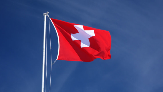 В парламенте Швейцарии предложили отменить запрет на реэкспорт оружия