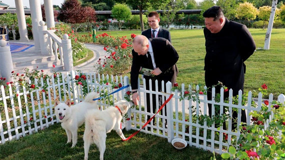 Песков: Путин пока не дал имена подаренным в КНДР собакам