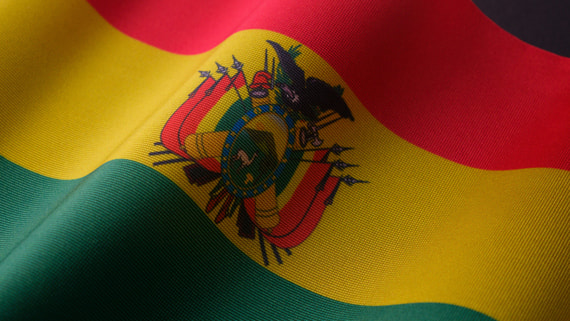Боливия вызвала посла Аргентины после заявлений Милея о госперевороте