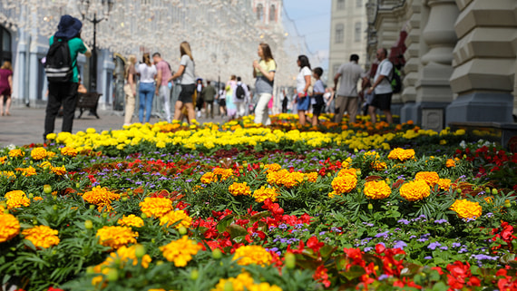 Сад в сердце столицы: как проходит фестиваль цветов в ГУМе