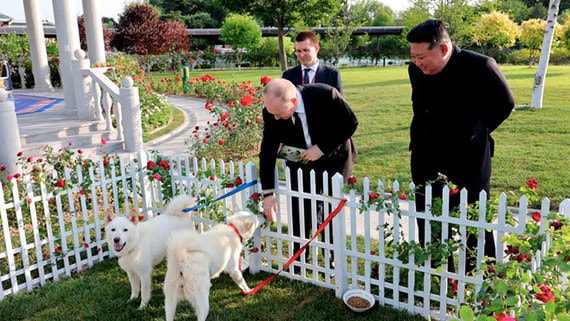 Песков: подаренные Ким Чен Ыном собаки уже получили имена