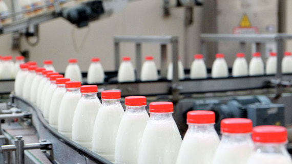 Производство молока в России выросло на 3% за полгода