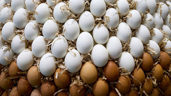 В Россию из Азербайджана ввезли еще более 300 000 яиц