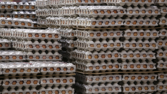 Россельхознадзор: поставки куриных яиц из Азербайджана достигли 4,2 млн штук