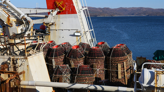 Краболовная компания "Тефида" пытается вернуть шесть потерянных судов