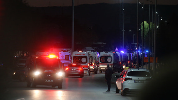 Роспотребнадзор запросил у Турции данные об отравлении в отеле Аланьи