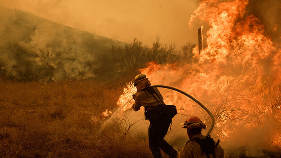 Из-за лесных пожаров в Калифорнии эвакуированы 50 000 человек