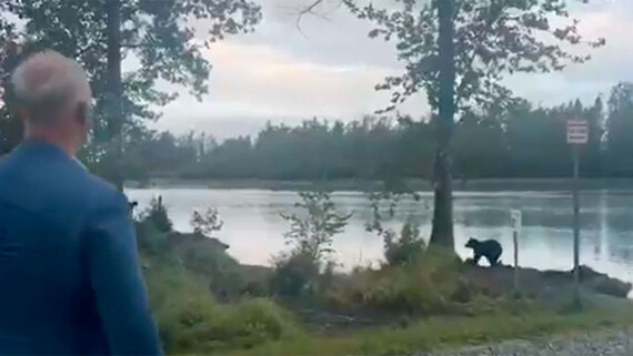 Дмитриев встретил на Аляске медведя перед саммитом России и США