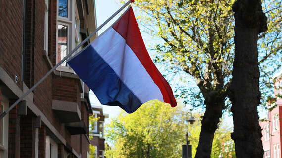 Нидерланды не примут участие во встрече Трампа и Зеленского в Вашингтоне