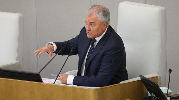 Володин: число депортированных из России мигрантов выросло на 17%