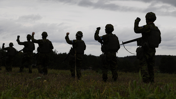 Эстония готова направить роту солдат на Украину в рамках гарантий безопасности