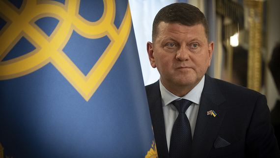 Представитель Залужного опровергла сообщения о его тайной подготовке к выборам