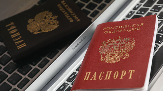 Правительство поддержало проект о лишении уклонистов приобретенного гражданства