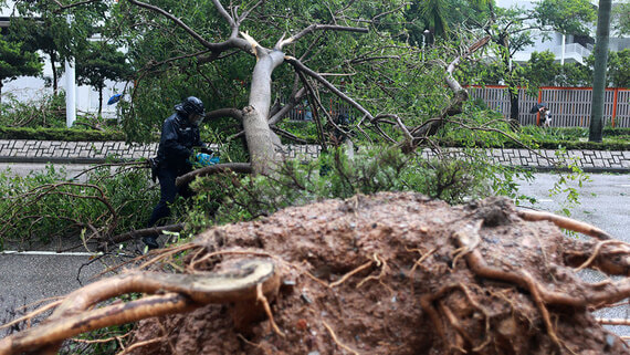 Почти 2 млн человек эвакуированы на юге Китая из-за тайфуна «Рагаса»