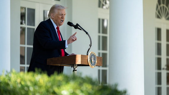 WP: влияние Трампа на «Альтернативу для Германии» усиливается