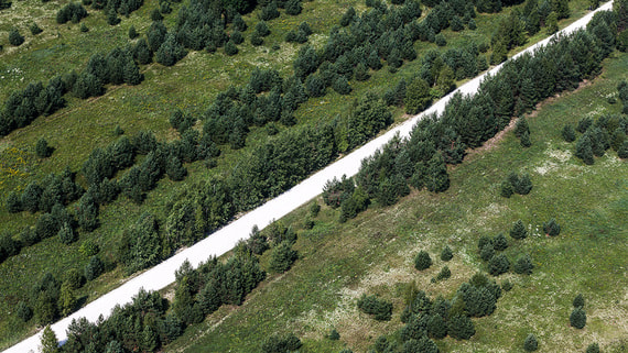 Кабмин одобрил ограничения на передачу земли муниципалитетам