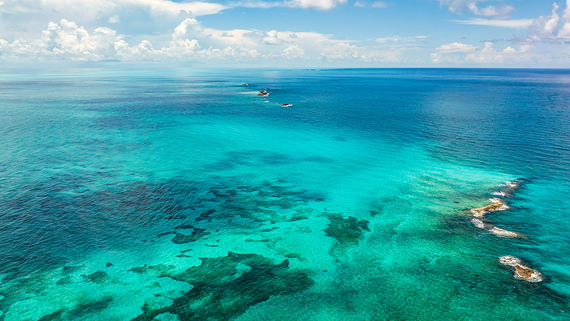 Британия перестала делиться разведывательными данными с США о Карибском море