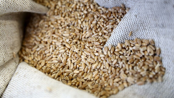 СВР: Армения собирается «отвязаться» от России и оказать помощь Украине