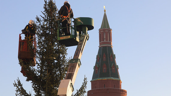 В России нашли главную новогоднюю елку высотой 26 метров