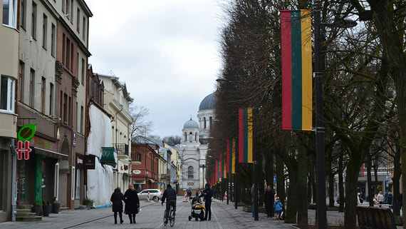 В Литве призвали продолжать финансировать Украину вопреки коррупции