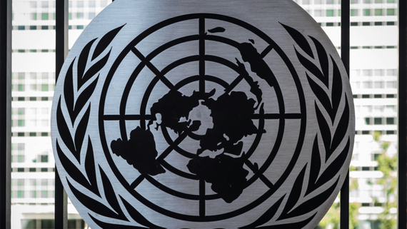 Заседание СБ ООН по урегулированию кризиса на Украине состоится 20 ноября