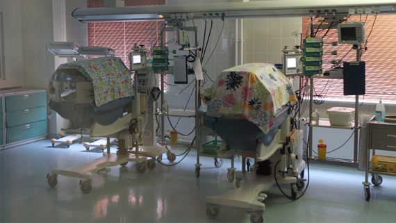 Госдума приняла закон о новых льготах для рожденных с помощью ЭКО детей