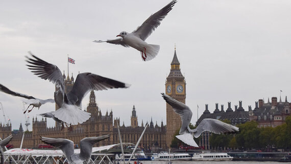 Daily Star: сотни жителей Британии хотят уехать в РФ по «визе общих ценностей»