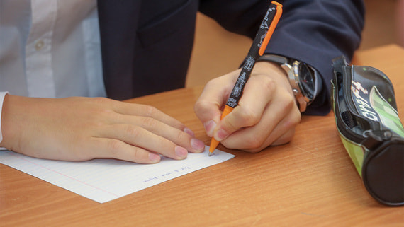 В РФ утвердили порядок обмена данными о детях мигрантов в российских школах