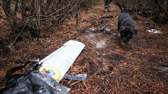 Силы ПВО ликвидировали 118 украинских беспилотников за ночь