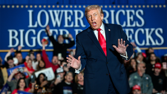 WSJ: Трамп призвал лидеров ЕС надавить на Зеленского для принятия плана США