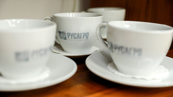 Выручка «Русагро» выросла на 16% в 2025 году