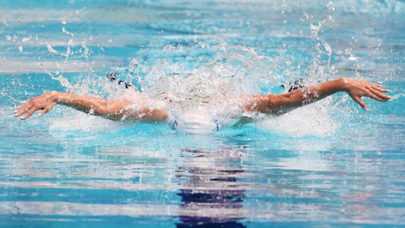 European Aquatics допустила россиян и белорусов с флагами на юниорские старты