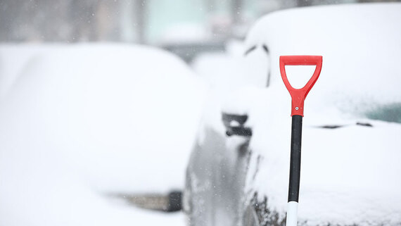 Снежный покров в Москве вечером и ночью может увеличиться на 4 см