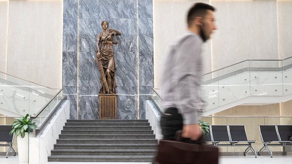 Совет по кодификации поддержал введение срока исковой давности по деприватизации