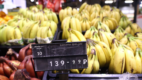 Офисы с пюпитрами и икра без порочащих признаков: самые неожиданные ГОСТы