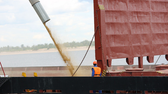 Экспортеры зерна столкнулись с многомиллионными доначислениями вывозных пошлин