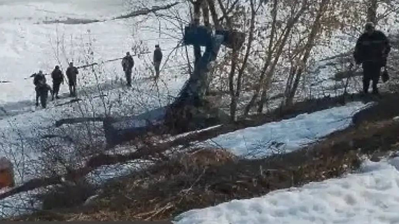 Росавиация классифицировала падение самолета в Коломне как катастрофу