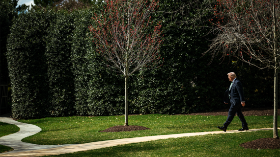 Трамп заявил, что мог бы прожить до 200 лет при отказе от фастфуда