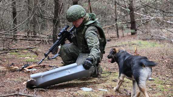 Силы ПВО сбили 55 украинских беспилотников над российскими регионами