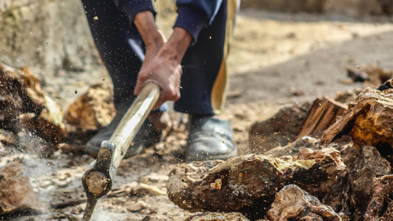 В Нидерландах обнаружили останки Д’Артаньяна