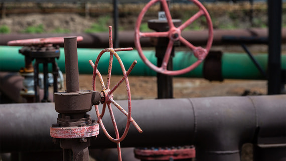 Шри-Ланка начнет импорт российской нефти с середины апреля