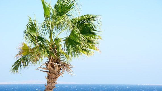 Продажи иностранных туров в марте упали на 30% из-за войны в Иране