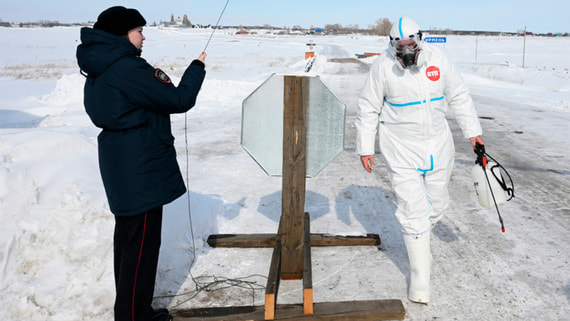 В Новосибирской области отменят карантин по пастереллезу